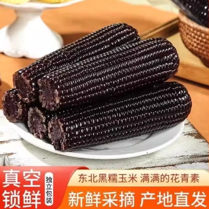 2025年东北黑玉米真空装黑糯花青素香糯饱腹营养早餐粗粮美味甜糯