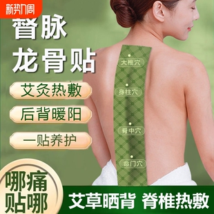 督脉龙骨艾灸贴凤脉带脉贴膝盖脊柱脊椎热敷贴艾草晒背部后背神器