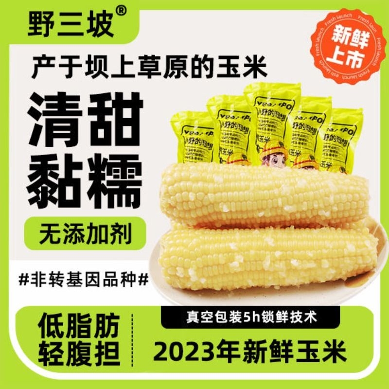 野三坡23年新鲜采摘糯玉米真空粘糯玉米苞米更嫩的宝宝白糯