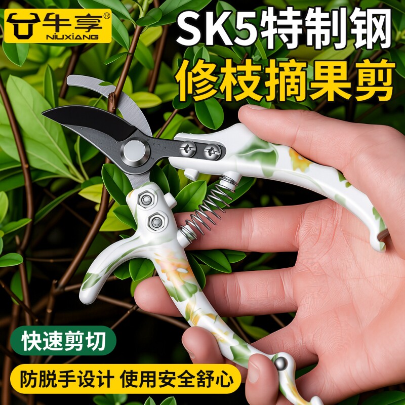多功能强力花枝剪省力园艺剪刀花卉盆栽修枝剪高韧性家用工具剪
