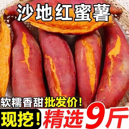 新鲜蜜薯板栗红薯沙地糖心黄心地瓜农家自种番薯红心山芋香甜西瓜