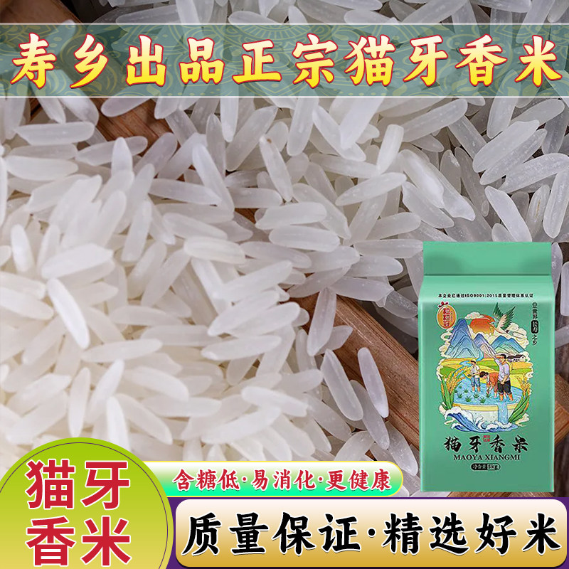 一级猫牙香米正宗新鲜今年新米广西大米煲仔饭软糯长粒原生态大米