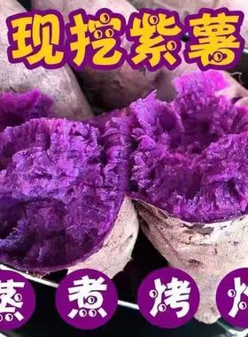 农家紫薯新鲜现挖软糯香番薯紫色紫罗兰香甜番薯