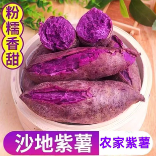 现挖紫薯新鲜农家自种紫心地瓜蜜薯番薯香薯烟薯山芋板栗红薯沙地