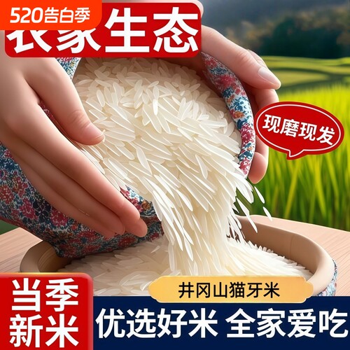 一级长粒香米好吃的江西井冈山丝苗大米当季新米煲仔饭专用长粒米