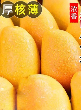 芒果正宗广西百色大台农香芒新鲜孕妇水果批发小台农香甜多汁热带