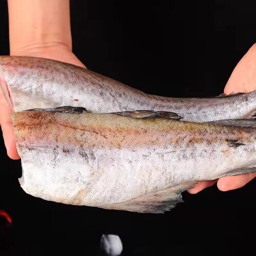 新鲜明太鱼深海无头鳕鱼鲜活速冻狭鳕鱼棒棒鱼宝宝辅食冷冻中段