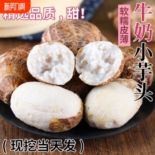 云南牛奶芋头小香芋5斤新鲜毛芋头现挖农家自种奶油芋艿软糯蔬菜