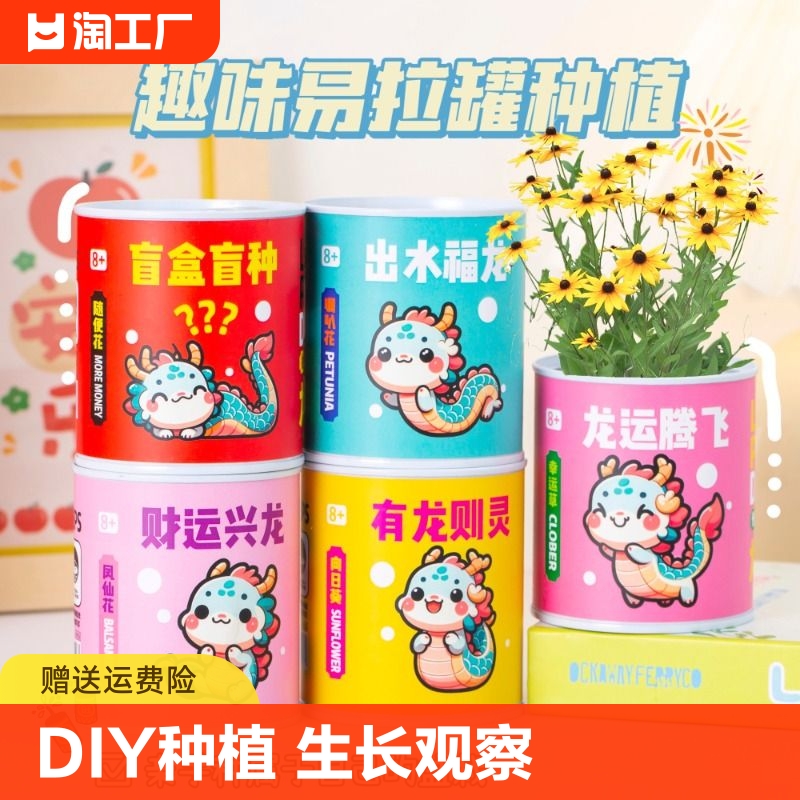 儿童种植易拉罐小盆栽学生六一儿童节活动礼品创意迷你桌面新款