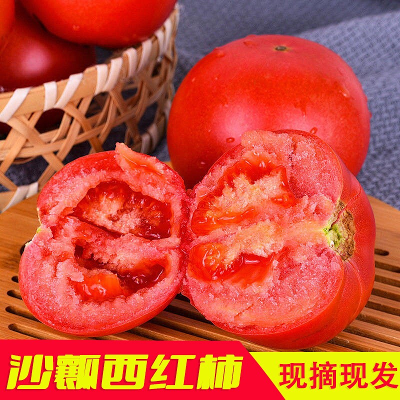 甘肃沙漠沙瓤西红柿农家新鲜西红柿顺丰包邮农家自种3斤装小果