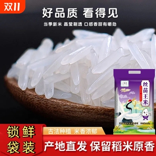 南方长粒大米现磨现发1斤批发 正宗丝苗王米当季 新品 特价