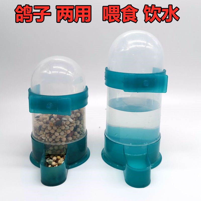 鸽子饮水器喂食器食槽水盒芦丁鸡自动饮水器喂水壶鸟用八哥食盒