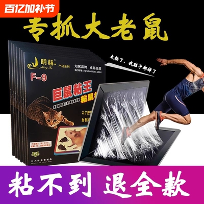 20张老鼠粘强力粘鼠板抓大老鼠贴夹扑捉灭鼠胶沾正品捕鼠神器超强