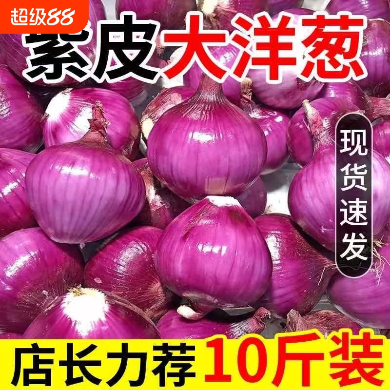 正宗紫皮洋葱圆葱葱头新鲜应季蔬菜农家甜可生吃红洋净重当季自种