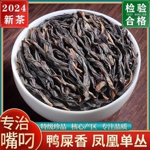 2024新茶茶叶乌龙茶特级凤凰单枞潮州鸭屎香芝兰香自己喝散装单丛