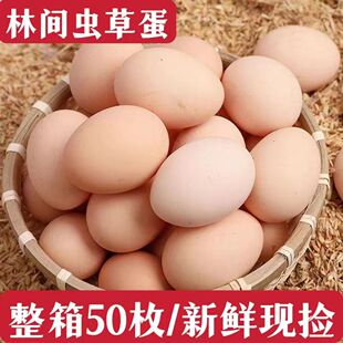 50枚现捡农家散养土鸡蛋新鲜柴鸡蛋营养谷物鲜蛋草鸡蛋30枚批发
