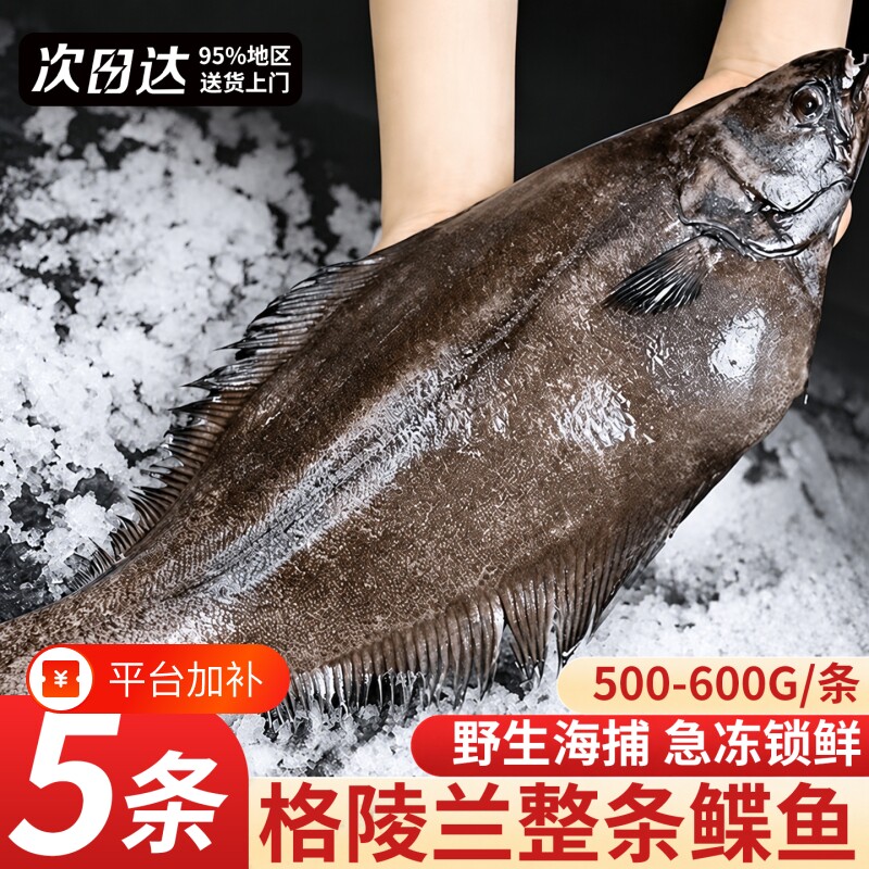超大号鲽鱼整条新鲜冷冻碟鱼身油蝶鱼切段头比目鱼深海鸦片鱼碟鱼