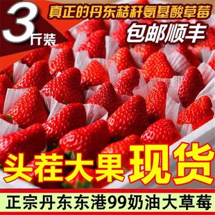 正宗丹东99草莓红颜牛奶大草莓新鲜水果礼盒当季 整箱东港九九空运