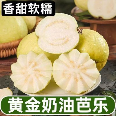 福建软糯软心芭乐5斤水果漳州当季奶油软白番石榴应季新鲜巴乐果