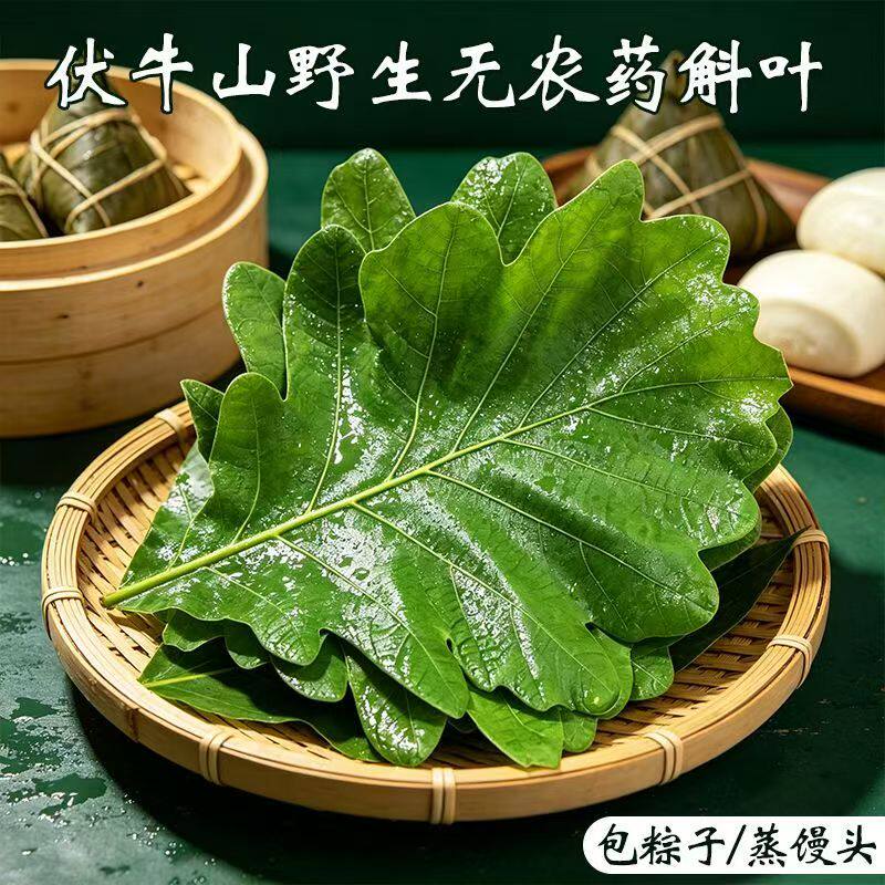 现摘粽叶鲜槲叶菠萝叶天然大粽子叶野生菠萝叶槲叶端午必备