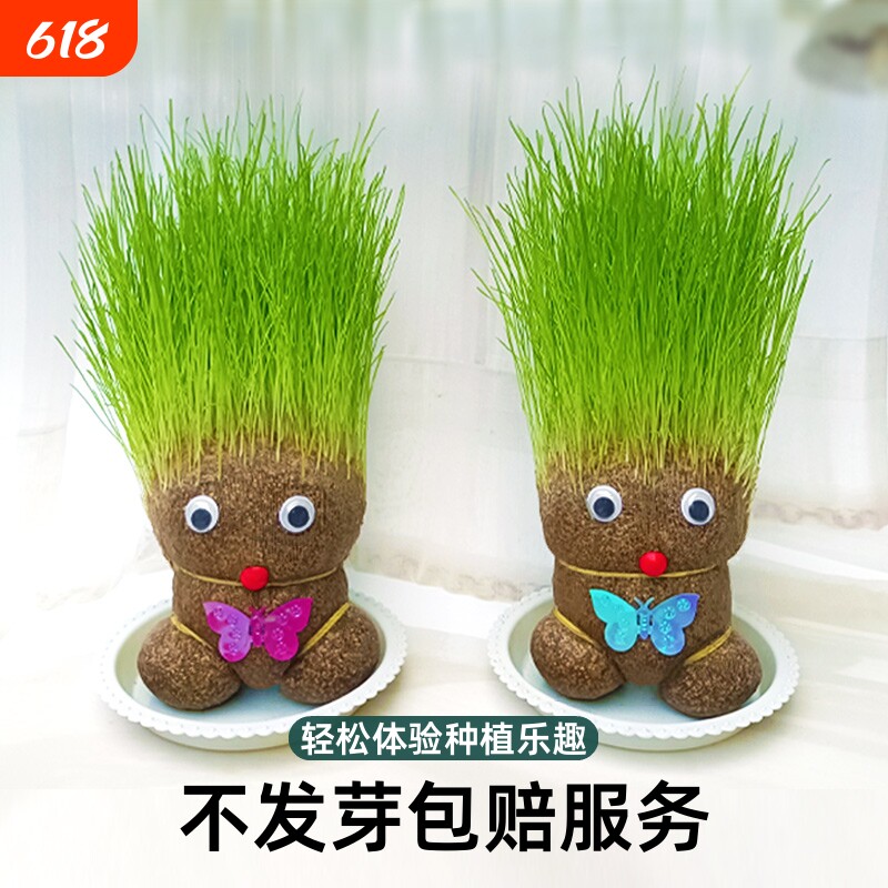 创意长草娃娃小盆栽草头娃娃好养桌面绿植礼物水培儿童种植小植物