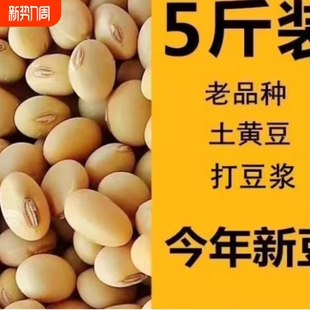 2025新货农家自种笨黄豆非转基因土黄豆老品种黄豆打豆浆豆散装