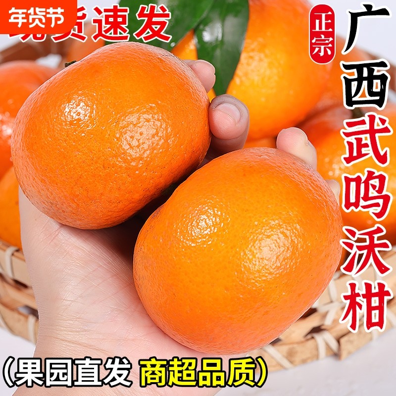 正宗广西武鸣沃柑新鲜橘子水果当季一级沙糖蜜橘砂糖柑橘大果整箱,水产肉类/新鲜蔬果/熟食,桔子,淘宝优惠券,粉丝福利购,淘宝优惠卷