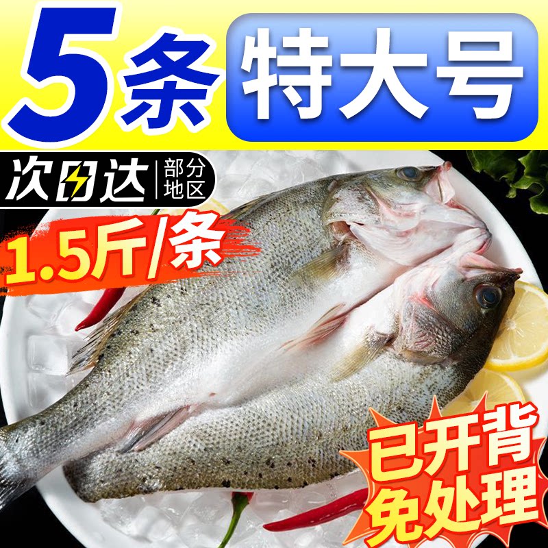 海鲈鱼开背鲜冻冷冻鲜活清蒸烤鱼半成品商用鱼肉新鲜水产真空配送