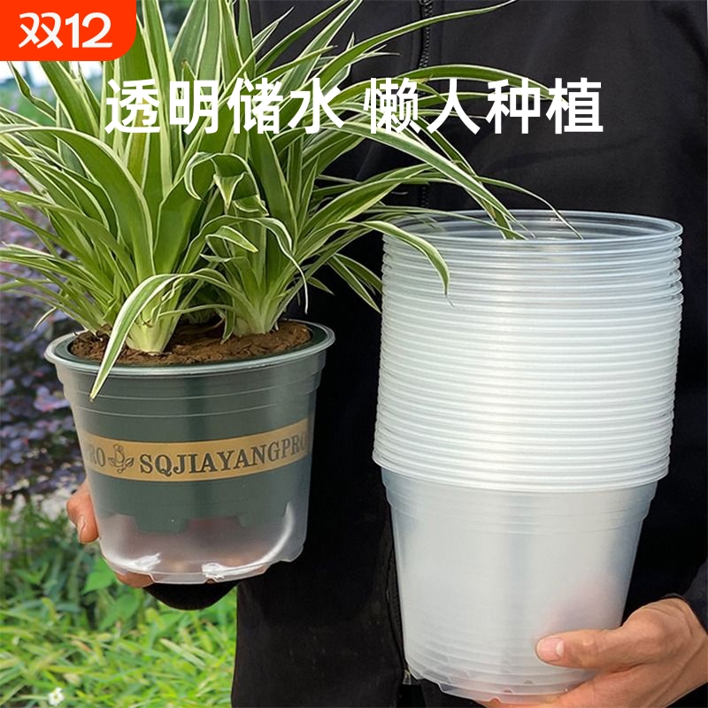 自吸水懒人花盆可视水位透明花盆