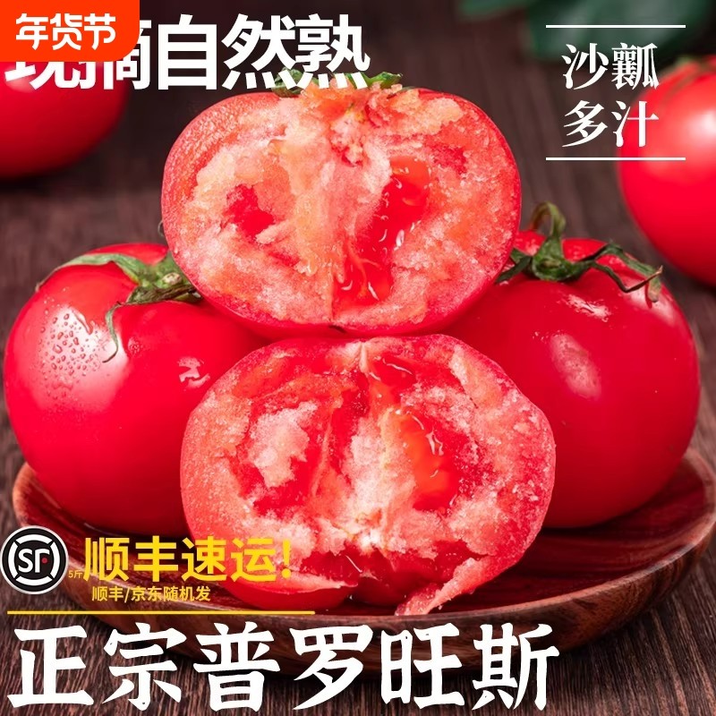 正宗普罗旺斯沙瓤西红柿子当季生吃水果番茄新鲜自然熟火晶脆,水产肉类/新鲜蔬果/熟食,番茄,淘宝优惠券,粉丝福利购,淘宝优惠卷