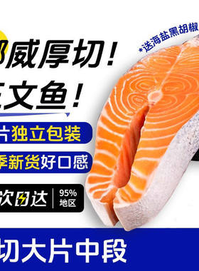 挪威三文鱼深海鲜嫩