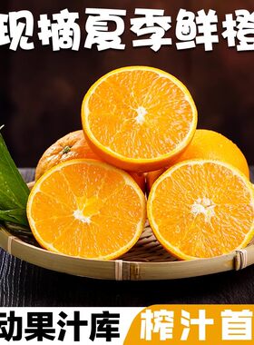 秭归夏橙脐橙新鲜当季水果湖北时令10斤橙子纽荷尔包邮果冻榨汁