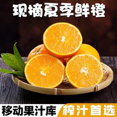 秭归夏橙脐橙新鲜当季水果湖北时令10斤橙子纽荷尔包邮果冻榨汁