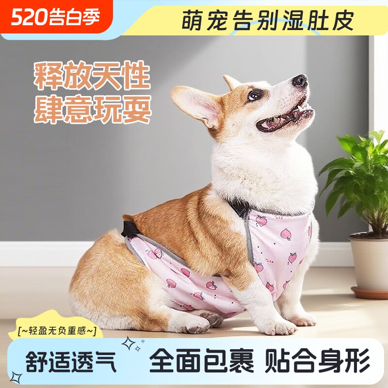 宠物狗狗防凉肚兜防水透气防脏保暖防着凉柯基衣服四季通用肚子