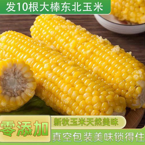 东北黄糯玉米甜玉米真空包装学生早餐低脂轻食粗粮上班族晚餐代餐