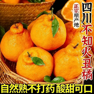 tyk丑橘不知火四川正宗新鲜应季水果现摘现发柑橘桔子整箱包邮