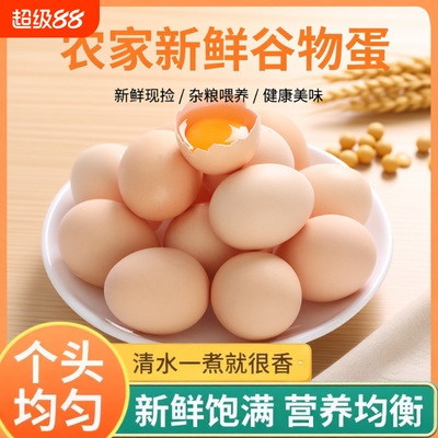 新鲜农家鸡蛋谷物鸡蛋农家笨鸡蛋月子蛋草鸡蛋初生蛋