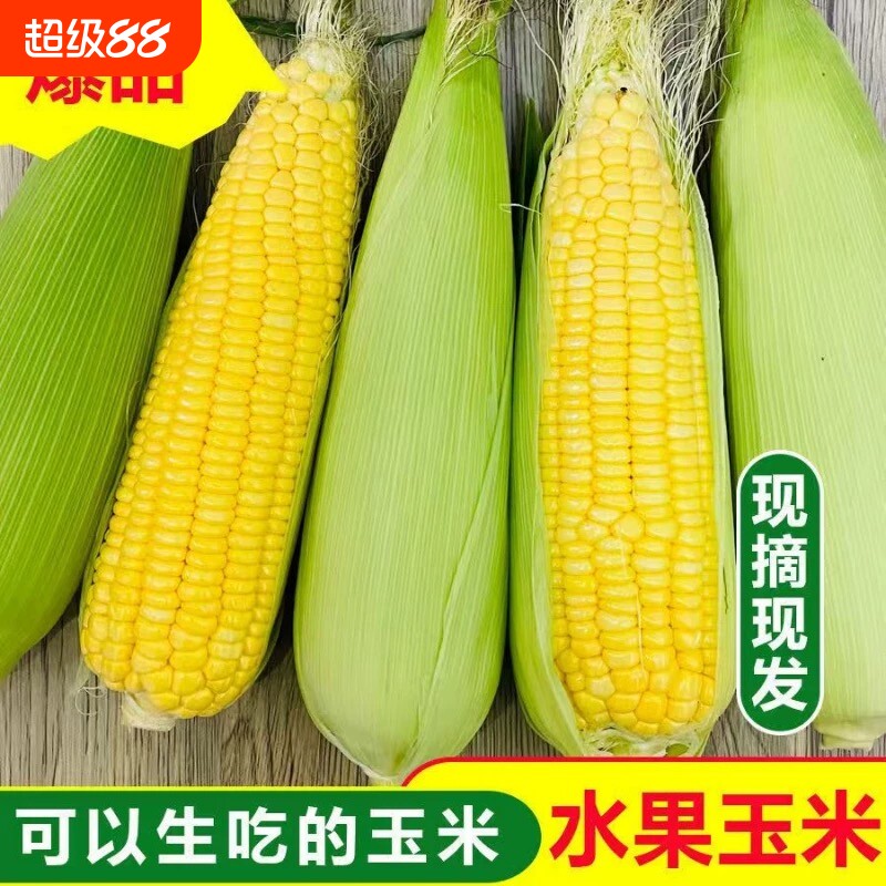 水果玉米新鲜多汁黄玉米粘糯甜苞谷非金银云南5现摘当季爆浆