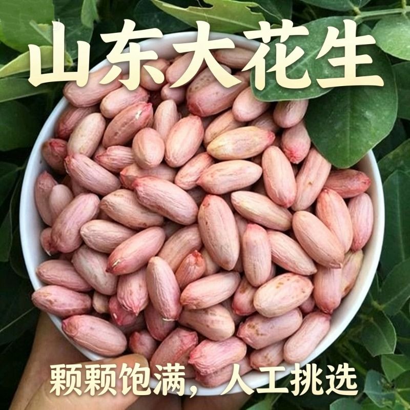 2025山东大花生新货新鲜花生米生新大颗粒大粒特产干果原味榨油