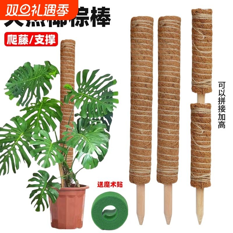 绿箩攀爬柱椰棕棒龟背竹支撑杆固定架植物爬藤花架棕榈皮椰丝苔藓