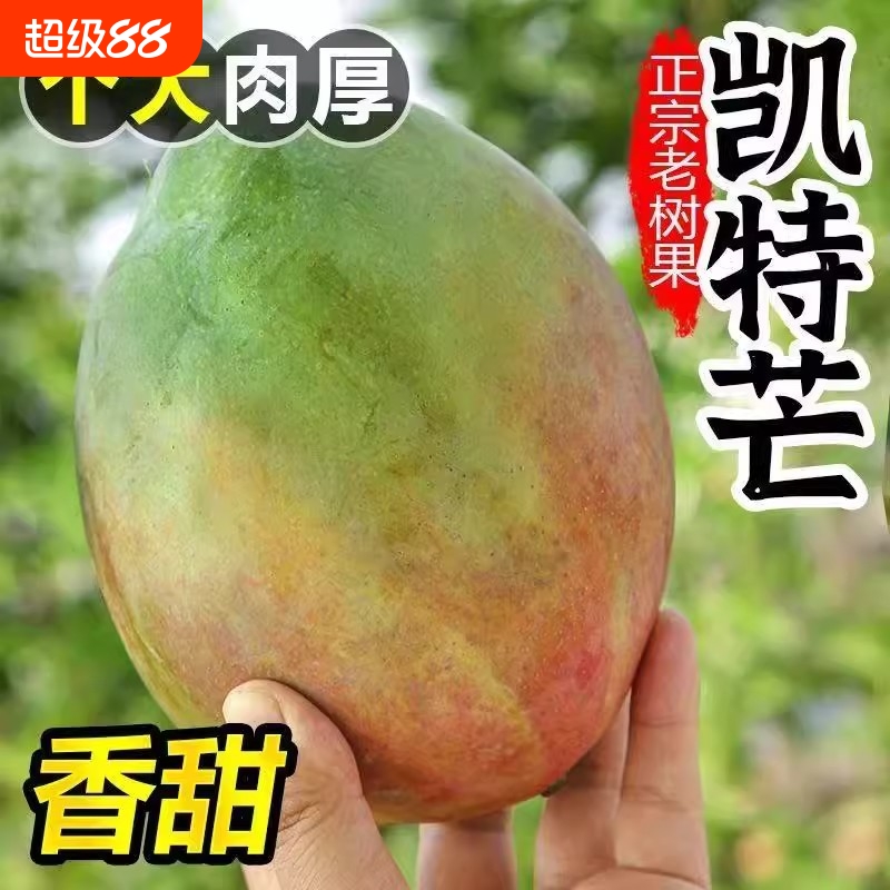 正宗攀枝花凯特芒果新鲜水果批发价一整箱应季当季大芒果核薄肉厚