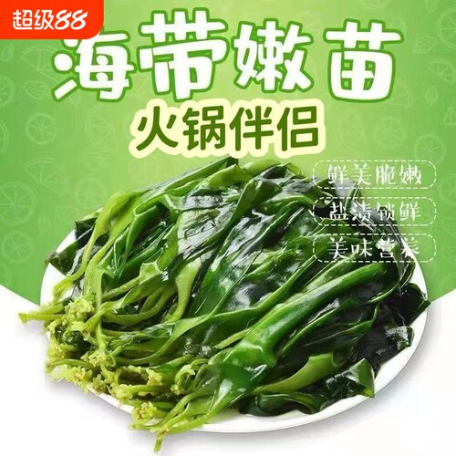 海带苗嫩芽福建霞浦特产小海带新鲜盐渍袋装嫩苗凉拌火锅食材商用