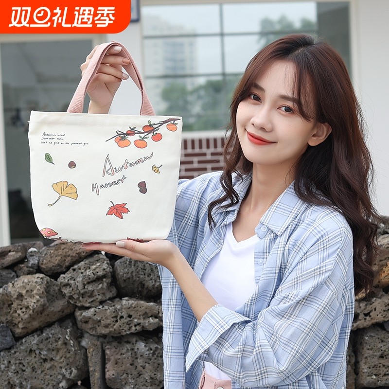 手提袋子外出包包小布袋迷你饭包上班小拎包帆布包女提包大容量