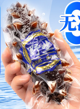 即食海参辽宁大连刺参鲜食500g独立袋装非海渗顺丰干货淡干冷冻