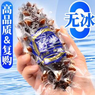 即食海参辽宁大连刺参鲜食500g独立袋装非鲜活海渗顺丰海参