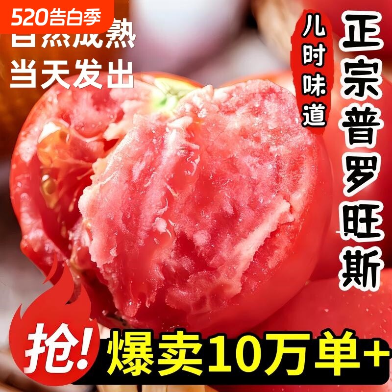 陕西泾阳正宗普罗旺斯西红柿当季自然熟沙瓤孕妇水果新鲜现摘包邮