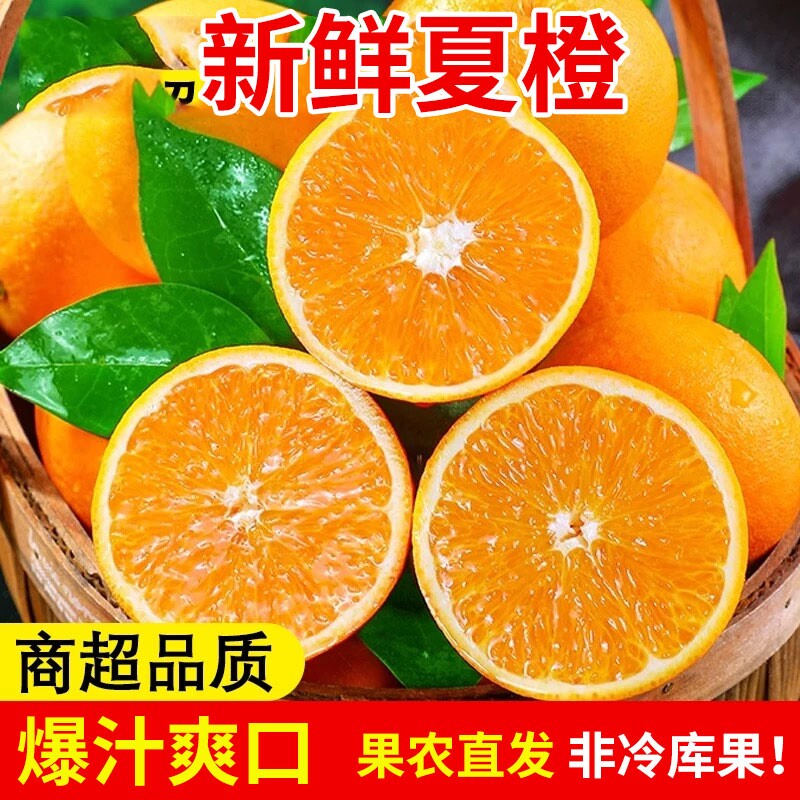 正宗江西脐橙新鲜夏橙橙子新鲜现摘孕妇水果手剥橙产地直供大果图片