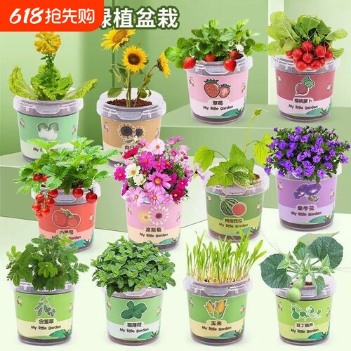 幼儿园小礼品学生DIY儿童手工创意种植盆栽植物长草实用生日毕业