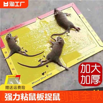30张强力粘鼠板捉粘大老鼠抓灭鼠笼捕鼠夹神器家用一窝端鼠贴黑胶