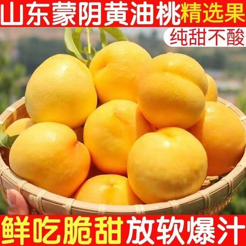 山东新鲜桃子黄金油桃蒙阴黄桃水果当季脆桃无毛黄油桃蜜桃